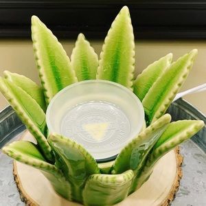 Aloe Scentsy warmer